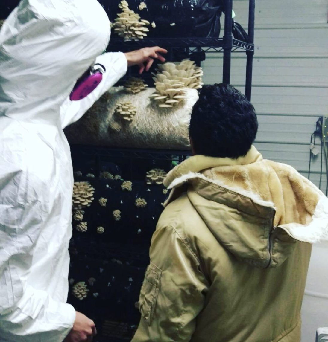 Screen Shot 2021-05-30 at 10.17.52 PM.png