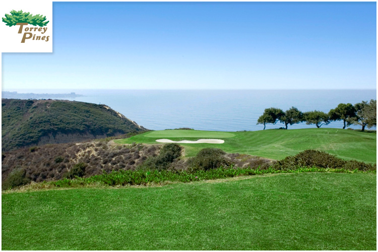 torreyPines_hdGolfSimulator.jpg