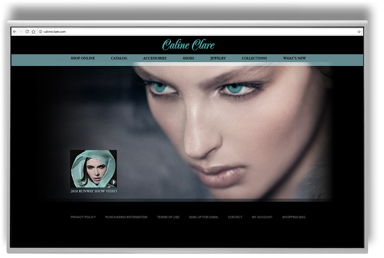 BRANDING + LOGO + WEB DESIGN