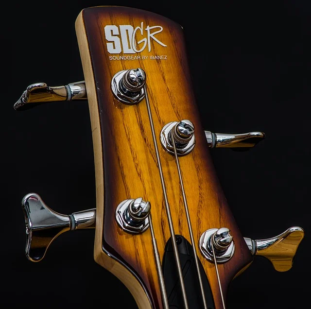 bass-912741_640.jpg