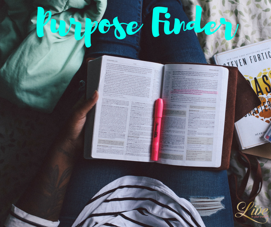 Welcome to our blog, Purpose Finder™!
