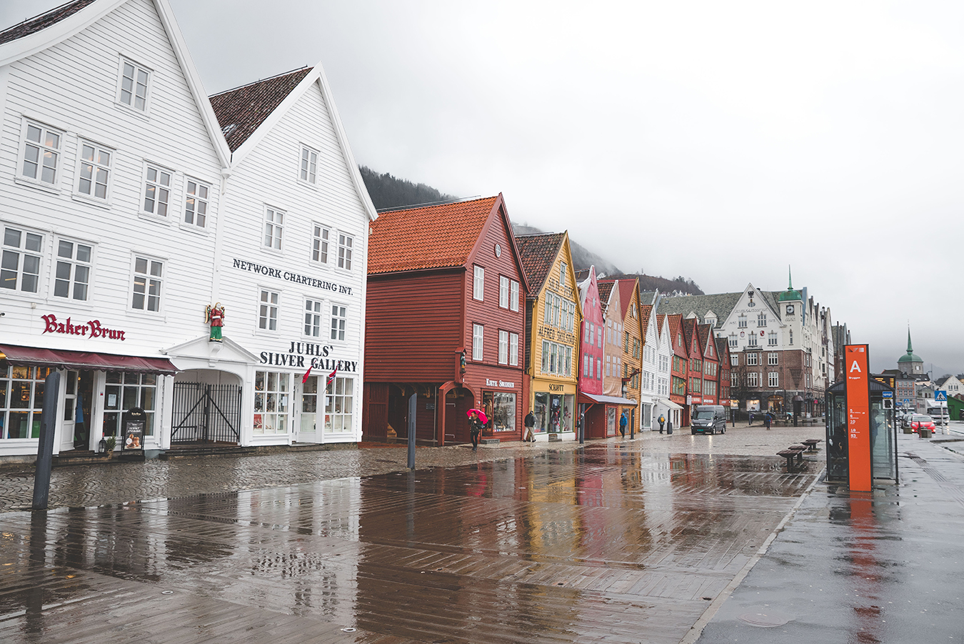 Bergen_Norway_Day4_13-3-17_TAL-2.jpg