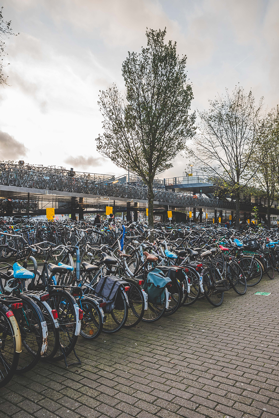 Amsterdam_Day3_23-10-17_TAL-20.jpg