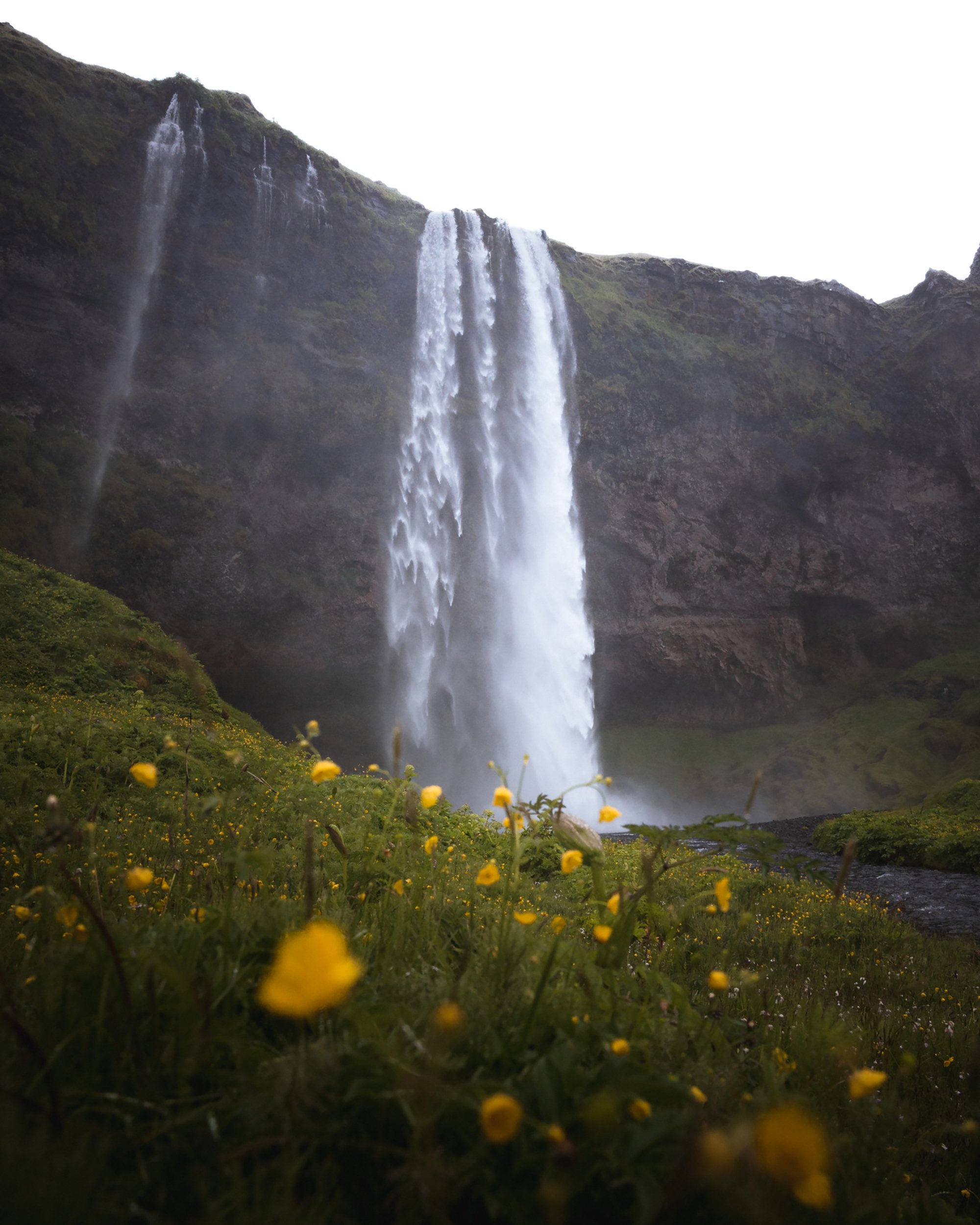 Seljalandsfoss_Iceland_19-06_22_TAL-25.jpg