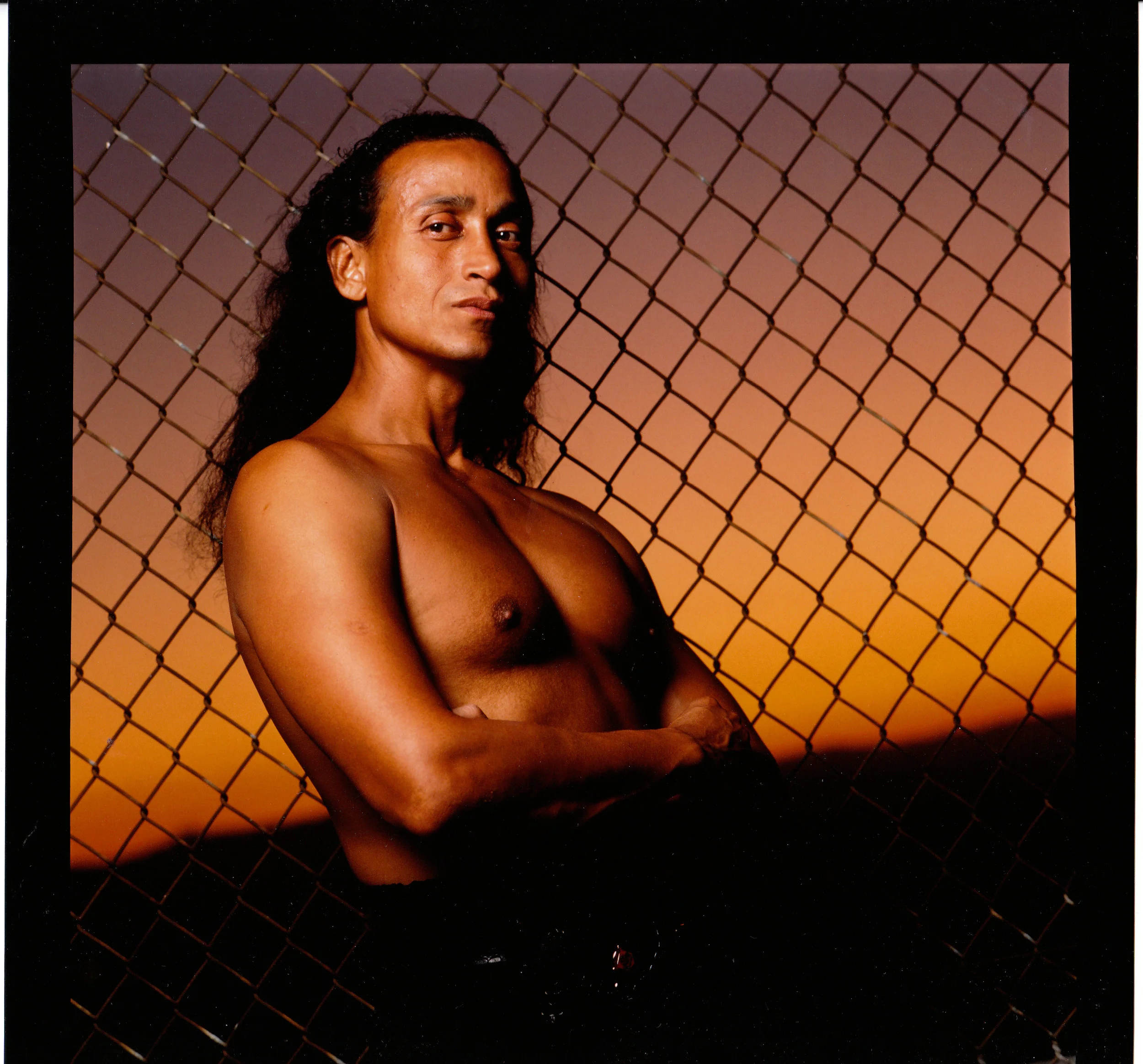 fence_longhair.jpg