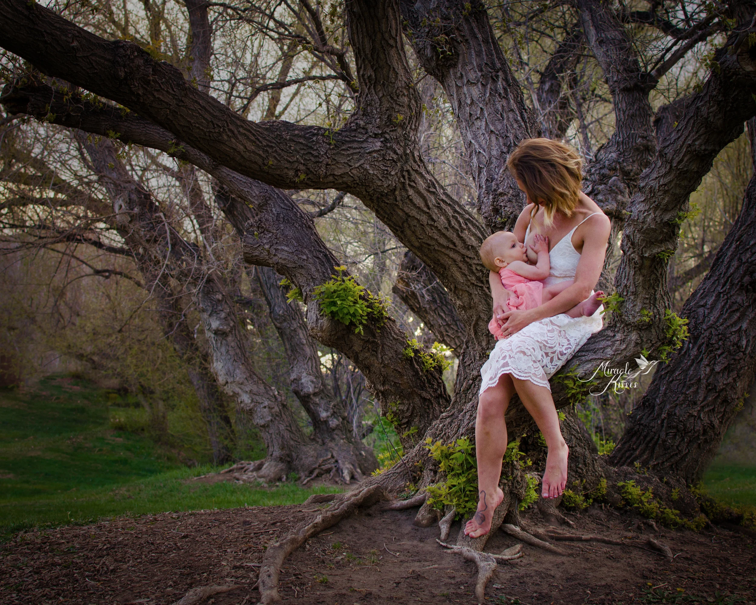 outdoor breastfeeding session, tree of life, beautiful memories
