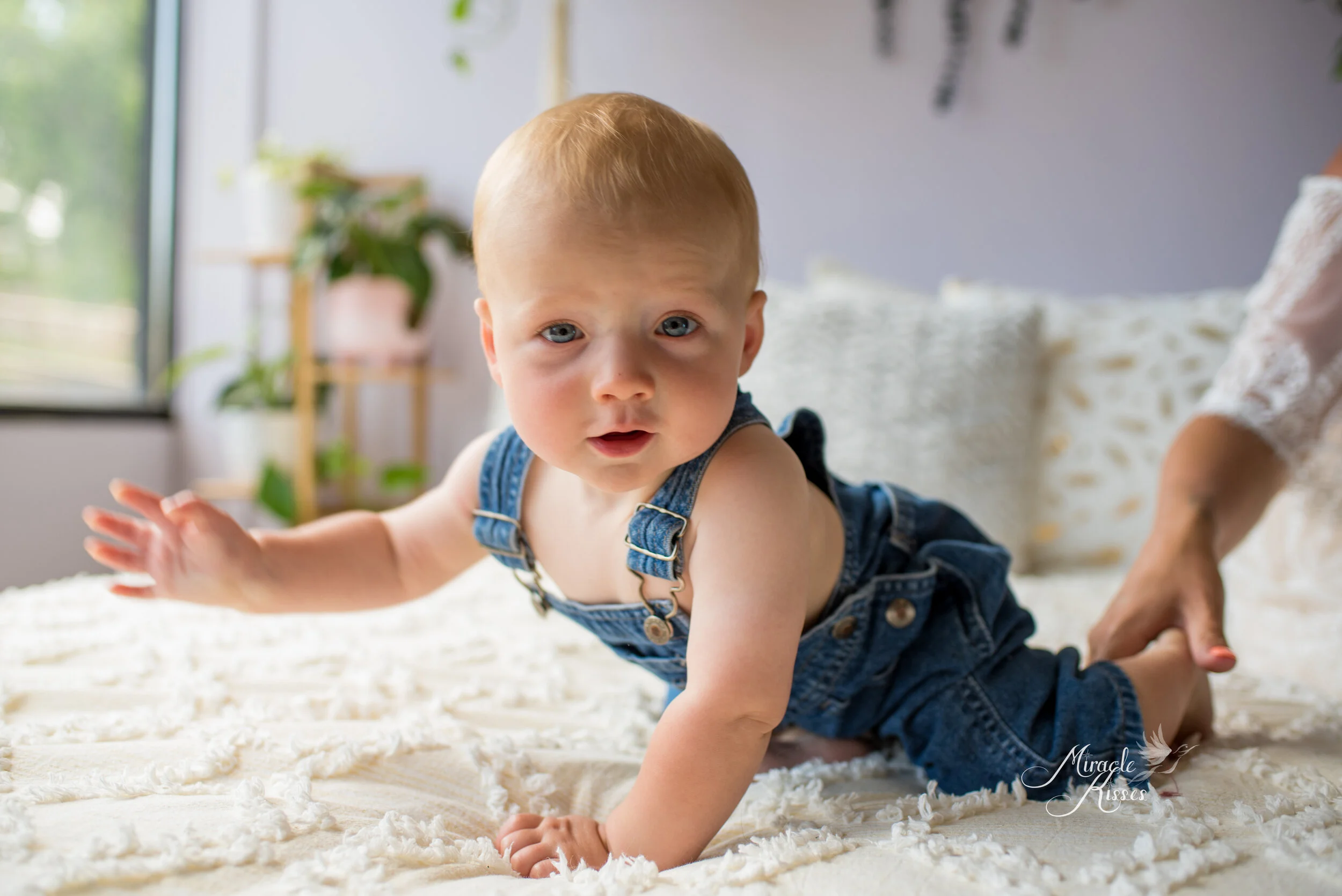 6 month baby boy milestone photography