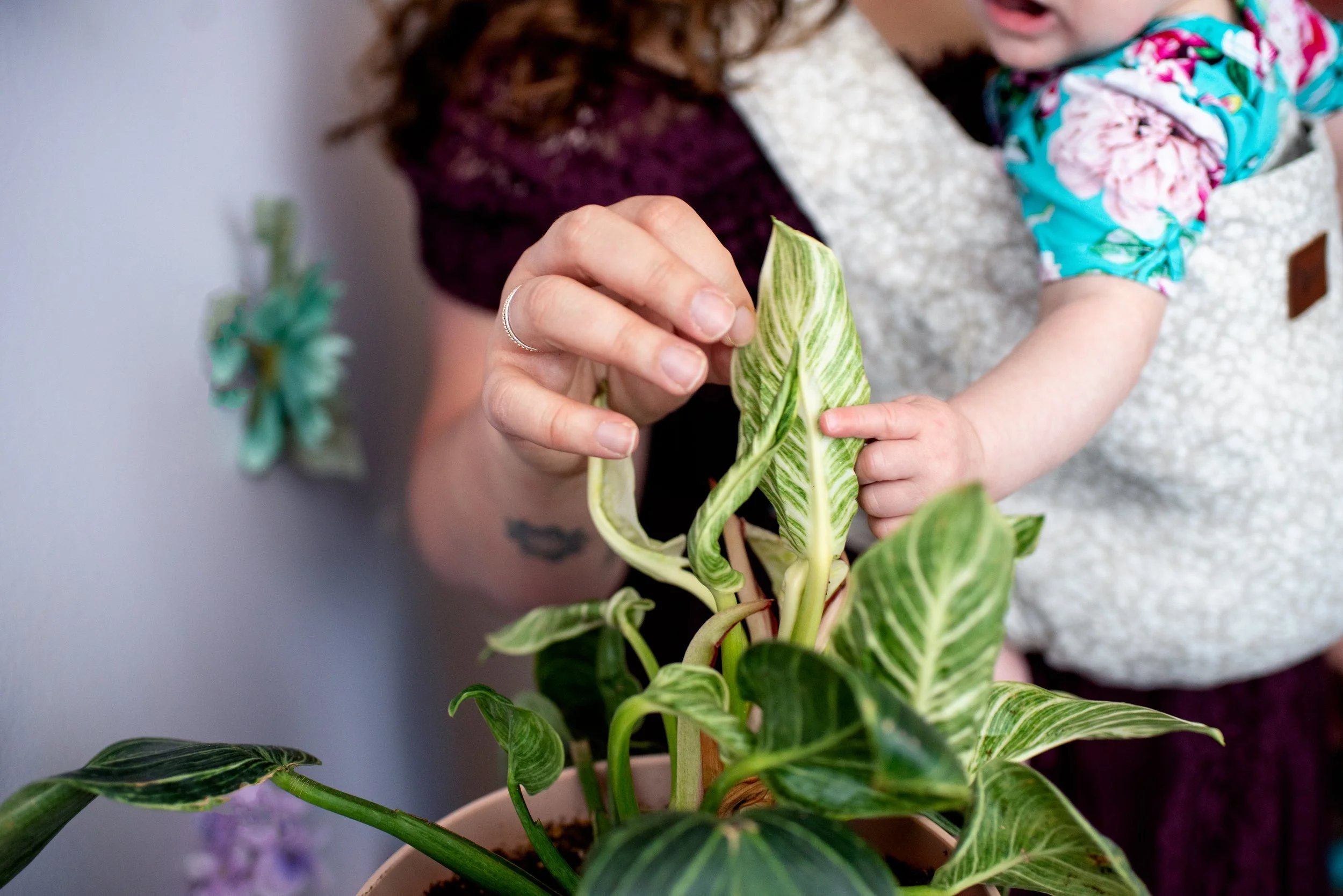mom and daughter discover a plant leaf together