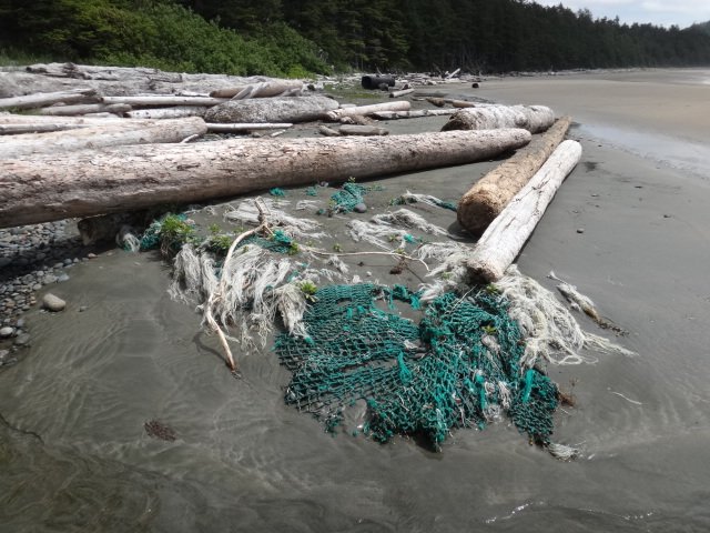 Photo courtesy of Living Oceans Society