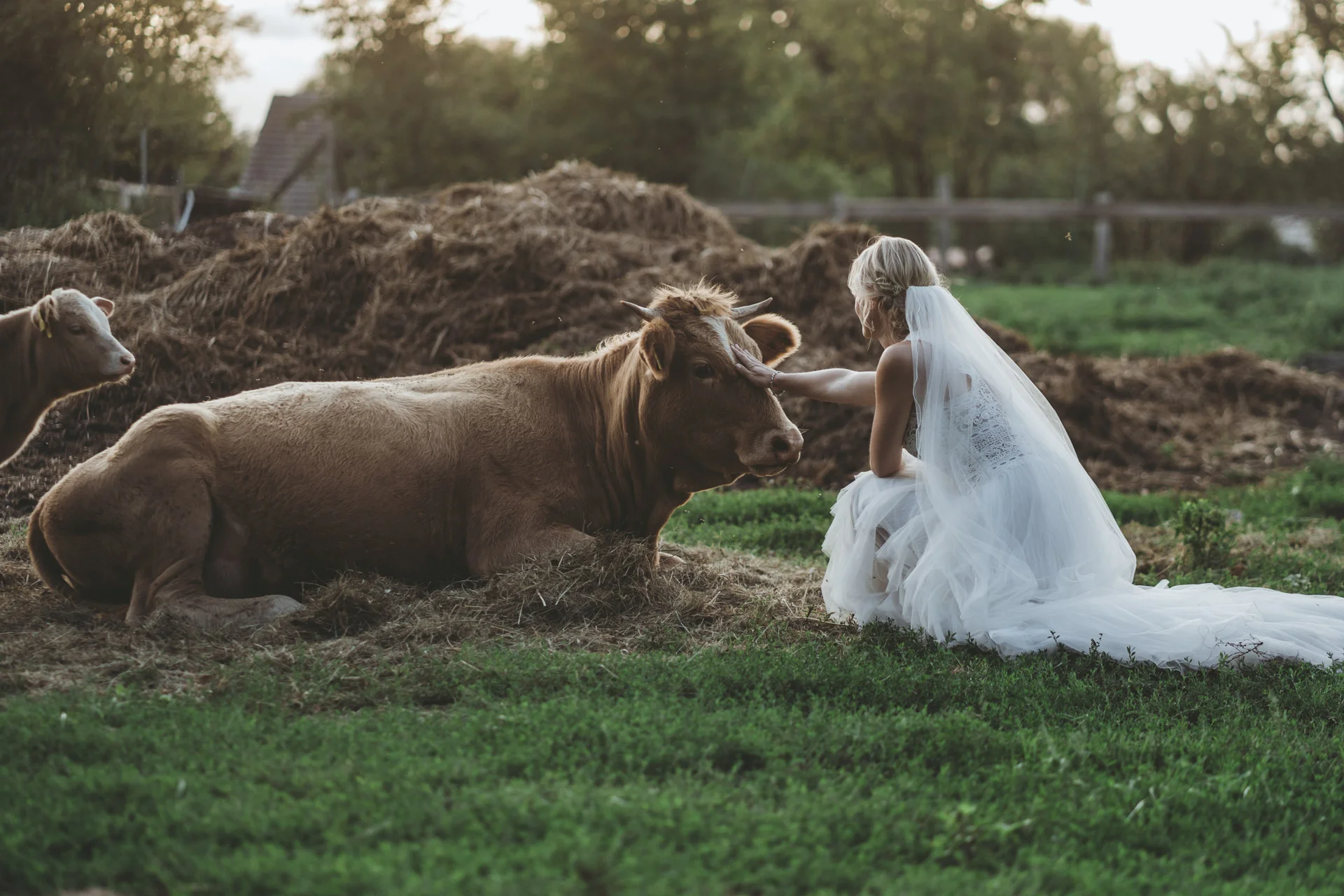 hochzeit_gut_boltenhof_085.jpg