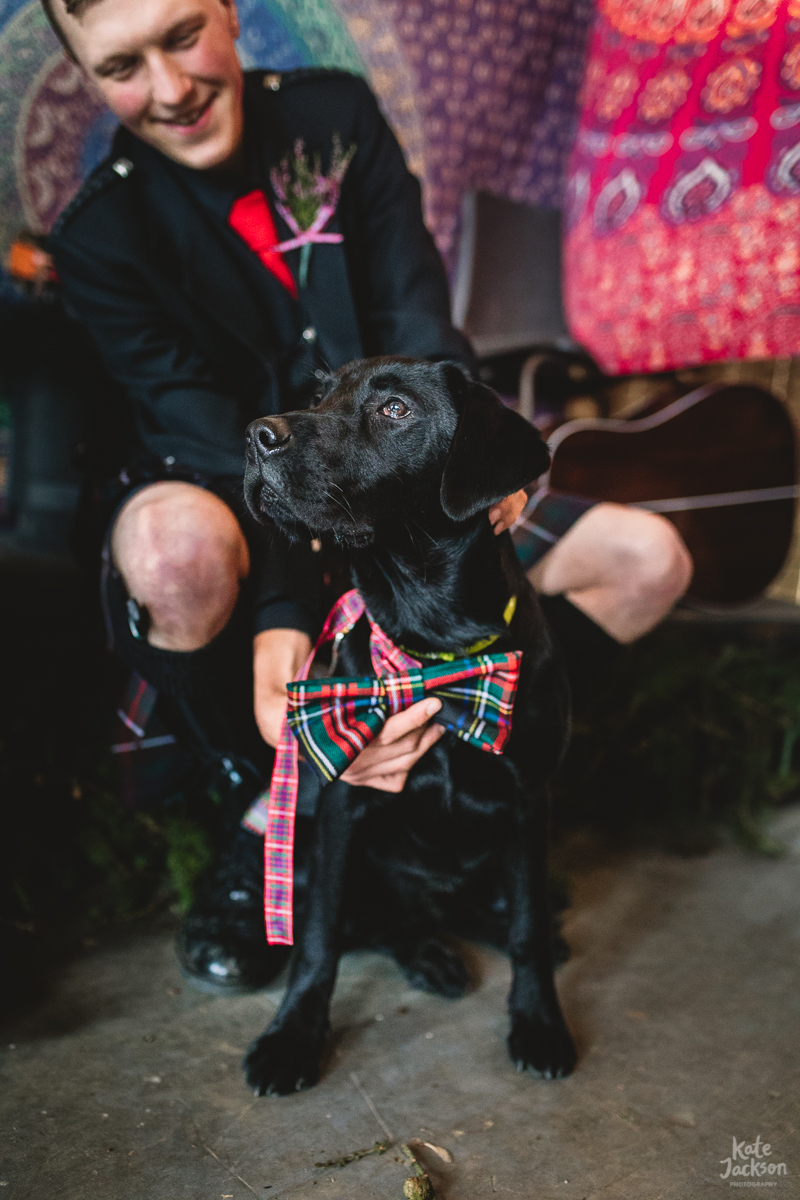 Labrador Dog at Scottish DIY Festival Wedding with Bowtie | Kate Jackson Photography