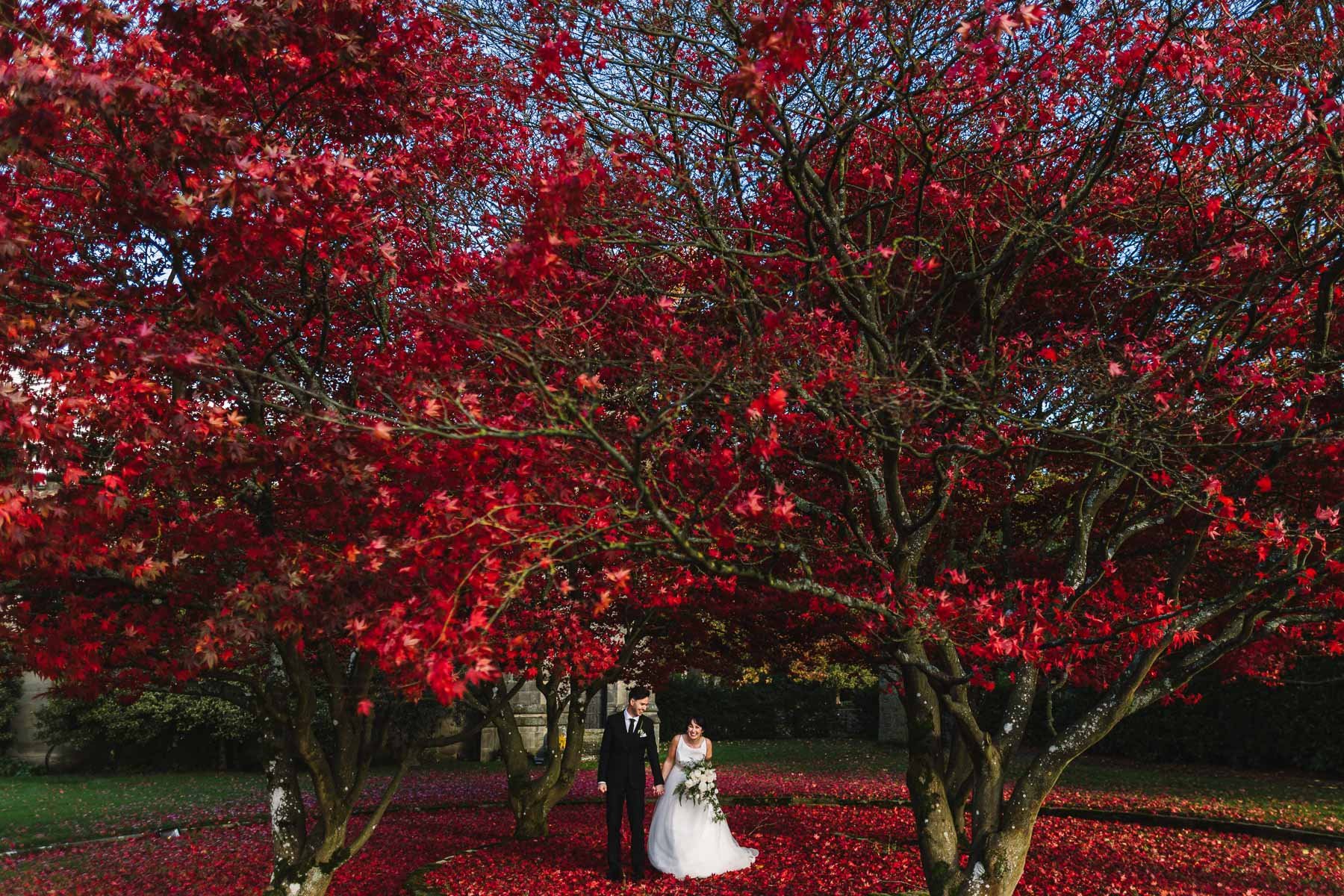 Bride and groom standing together giggling beneath bright red autumn trees at their Hampton Manor wedding