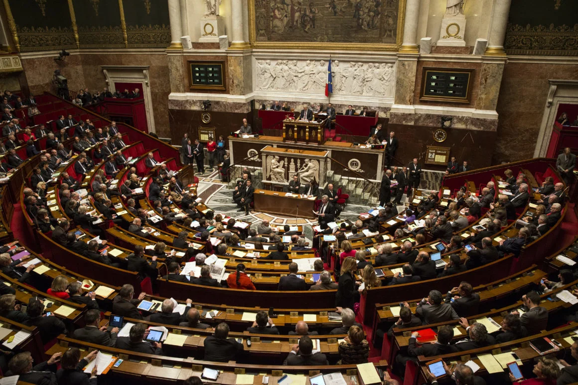   French Legislative Elections 2017: Results & Analyses By Nathan Richmond