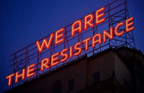 What has been the Impact of The Resistance? Part I: Efficacy By Eric van der Vort