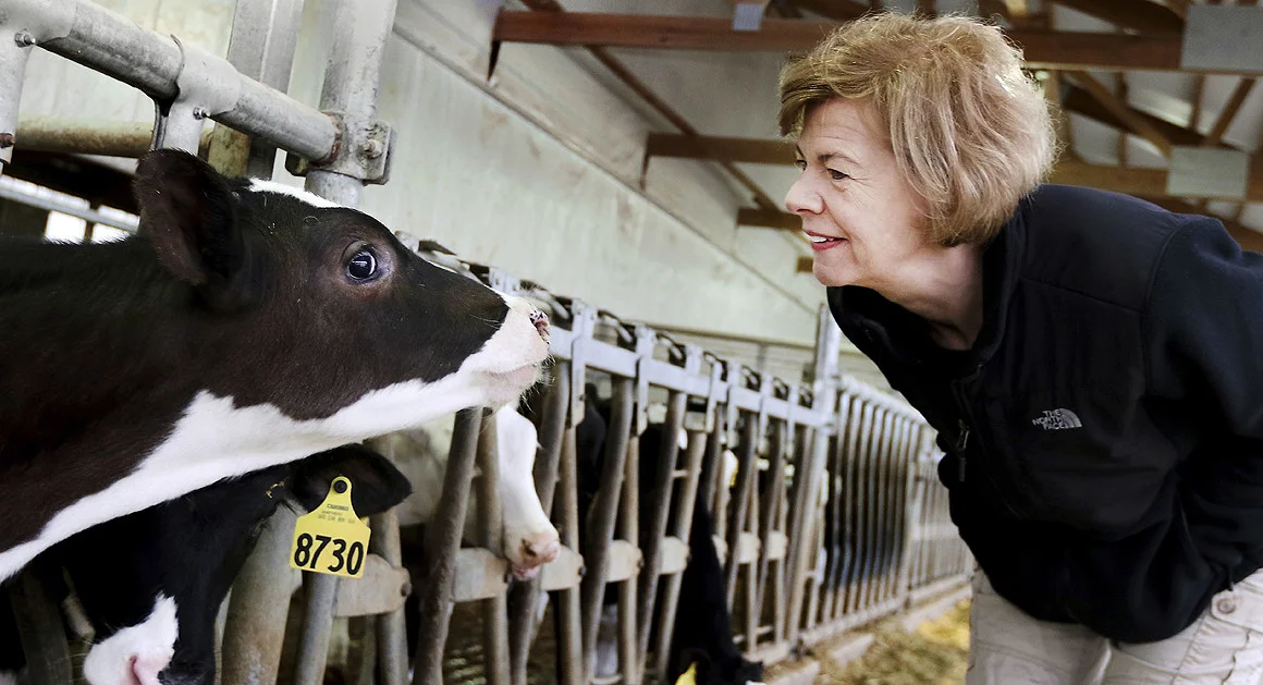 Can the GOP Gain Seats in States Trump Won? Prelimary Analysis of Tammy Baldwin 