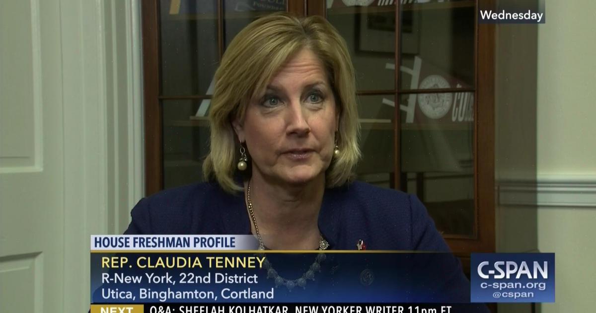 NY-22 Minute: Tenney Claims Guns in Vegas Shooting Bought Illegally, Contradicts Fox News By Luke Perry