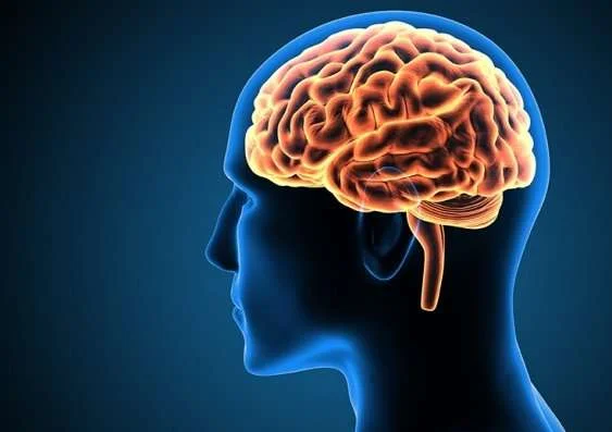 20-neuroscienti.jpg