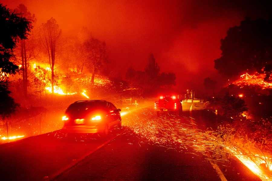 California Is Living America’s Dystopian Future By Stephanie LeMenager