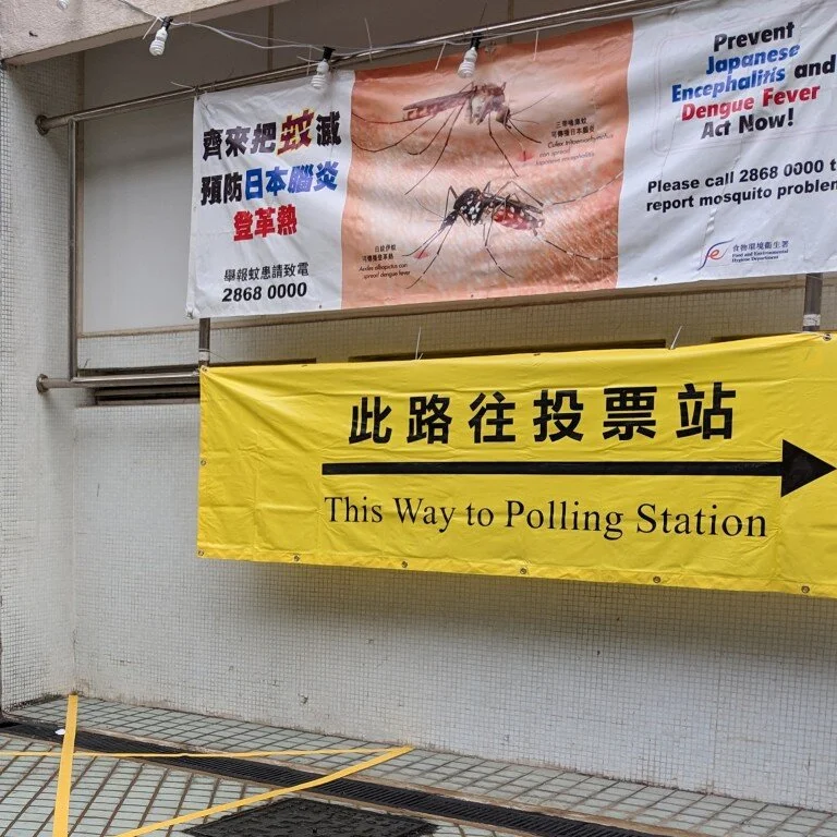 Pro-Democracy Camp Makes Significant Gains in Hong Kong’s Election By Phillip Howard