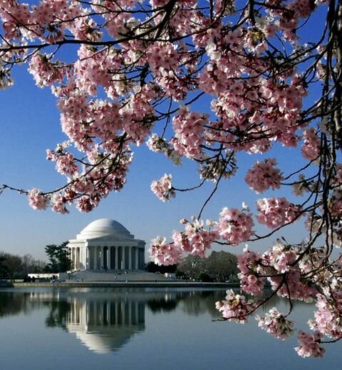Spring is arriving earlier across the US, and that’s not always good news By Theresa Crimmins