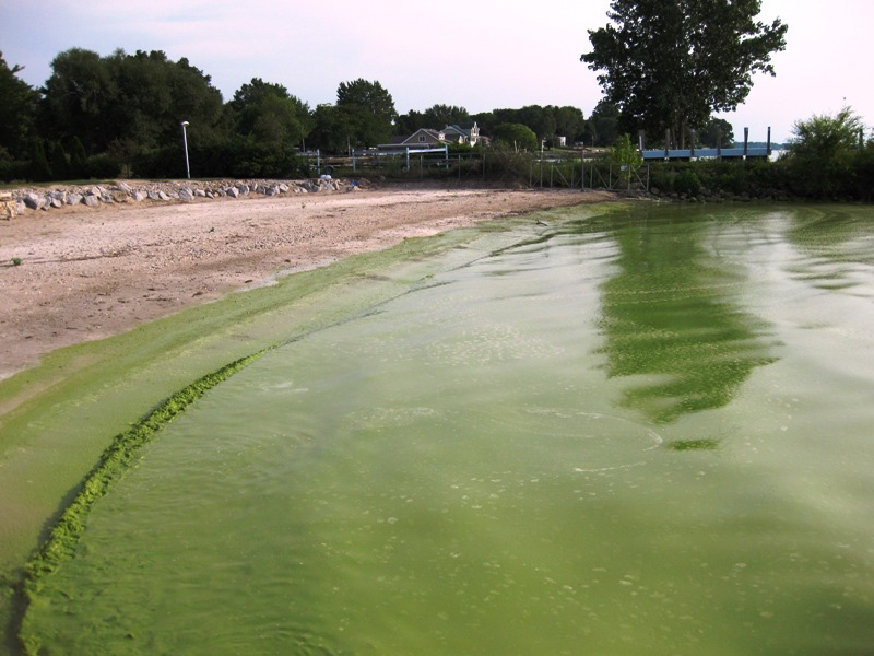 Climate change threatens drinking water quality across the Great Lakes By Gabriel Filippelli &amp; Joseph D. Ortiz