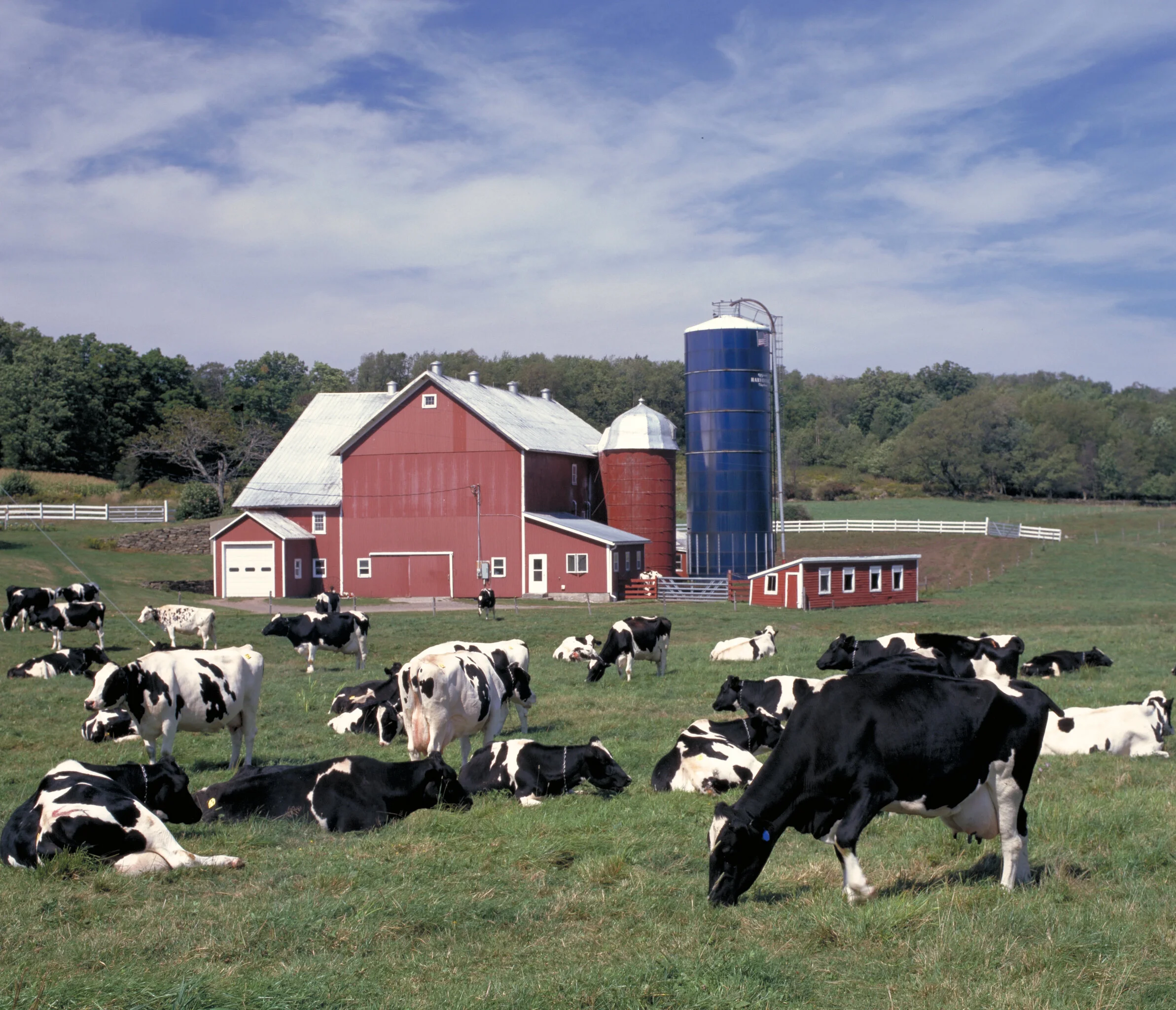 NY-22 Minute: Brindisi calls for more federal aid to dairy farmers during pandemic By Luke Perry
