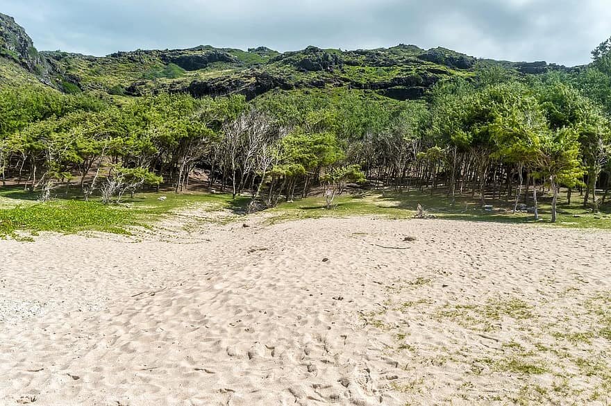 Roving bandits and looted coastlines: How the global appetite for sand is fuelling a crisis By Melissa Marschke, Jean-François Rousseau, Laura Schoenberger, &amp; Michael Hoffmann