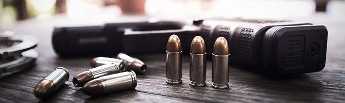 The NRA could be winning its long game even as it appears to be in dire straits By Robert Spitzer 