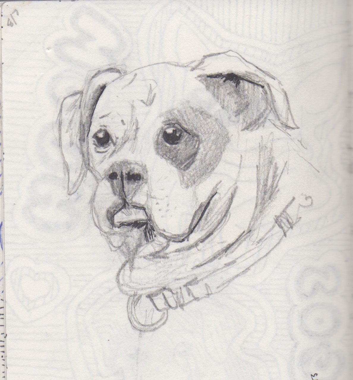 sketchbook 31.jpeg
