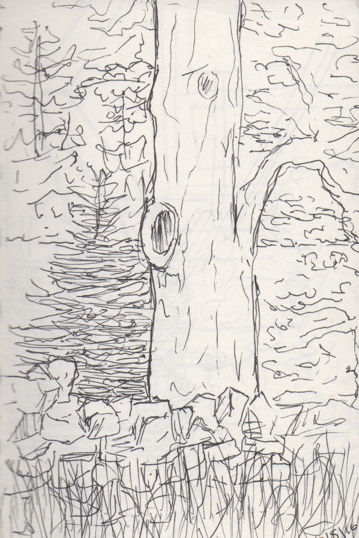 sketchbook 26.jpeg