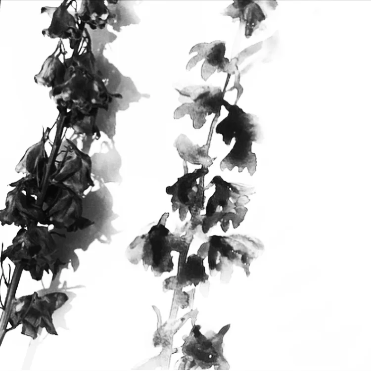 image_029.png