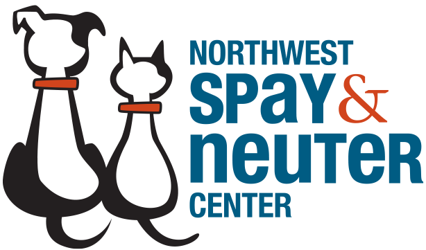 nwsn-logo.png