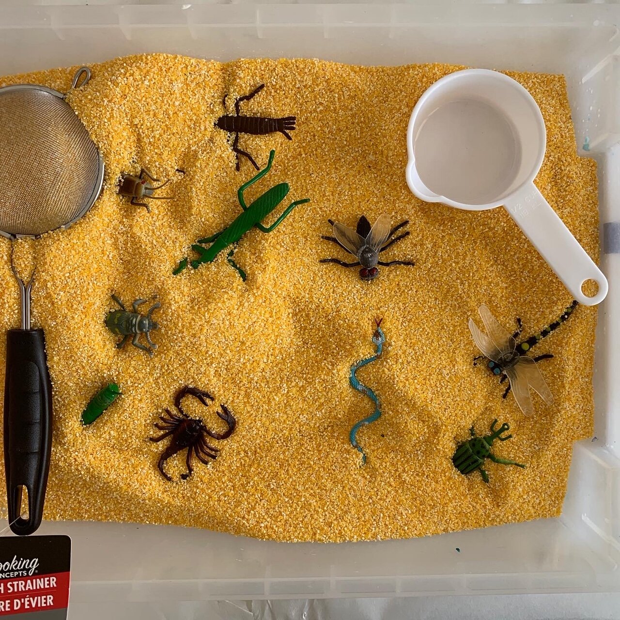 Find the Bugs Sensory Play Kit