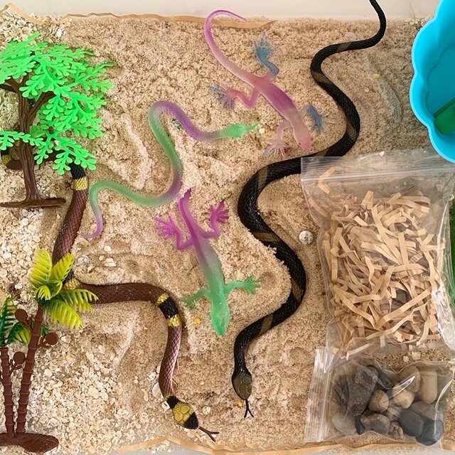 Sandy Snakes Sensory Play Kit