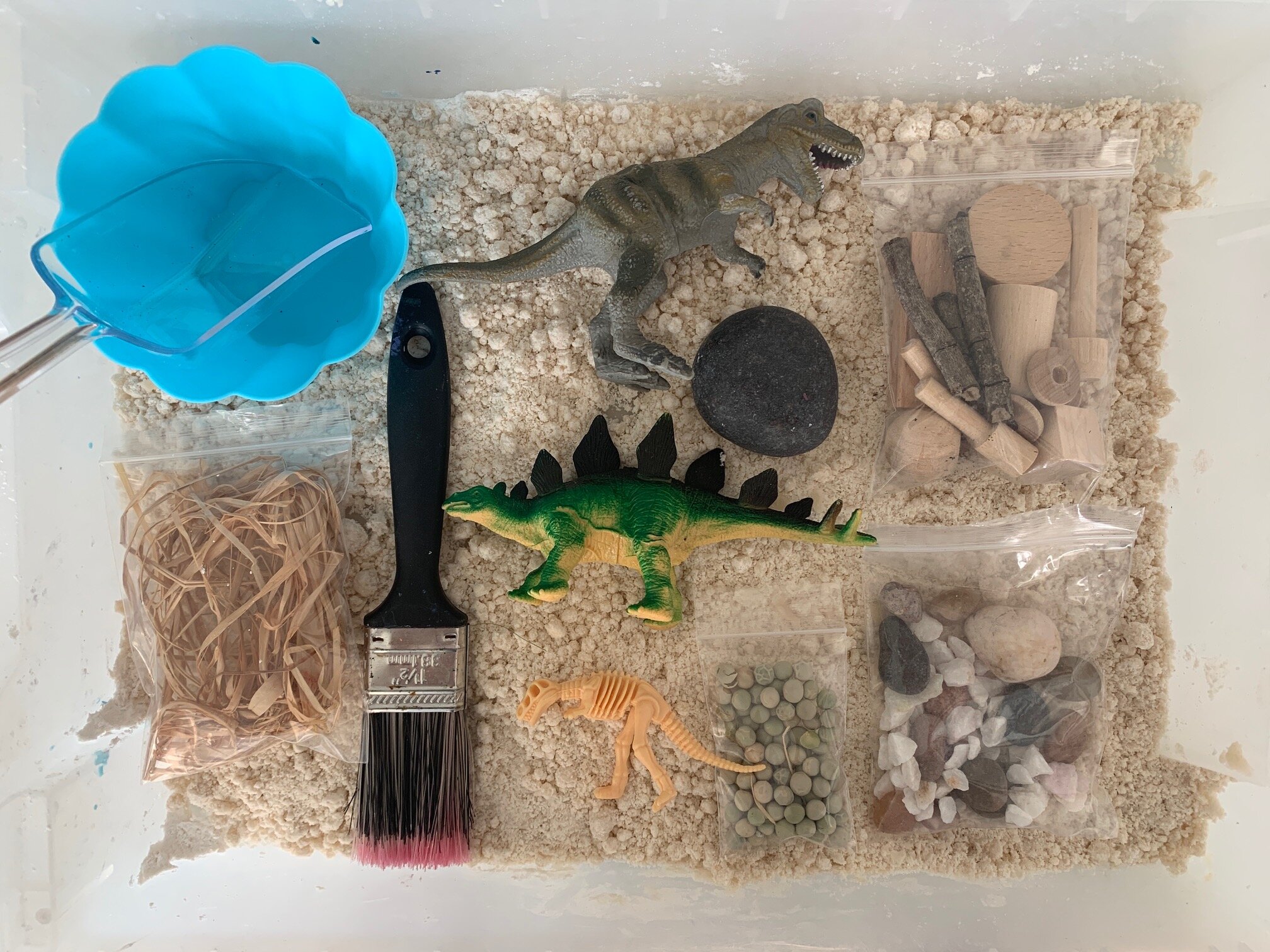 Dinosaur Excavation Sensory Play Kit