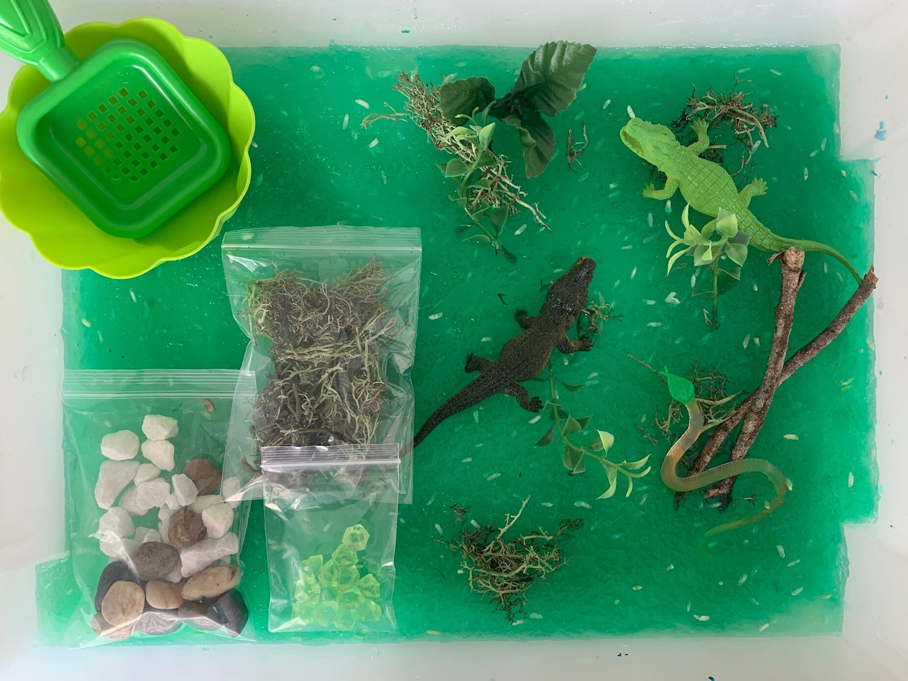 Croc Swamp Sensory Play Kit
