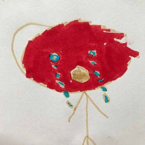 How to deal with a Crying kid