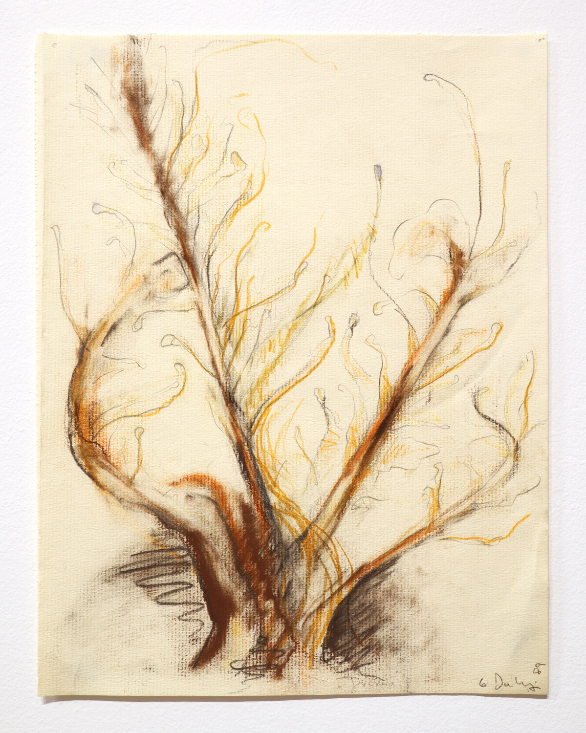 “Untitled (Carnivorous Plant)”, 1989 