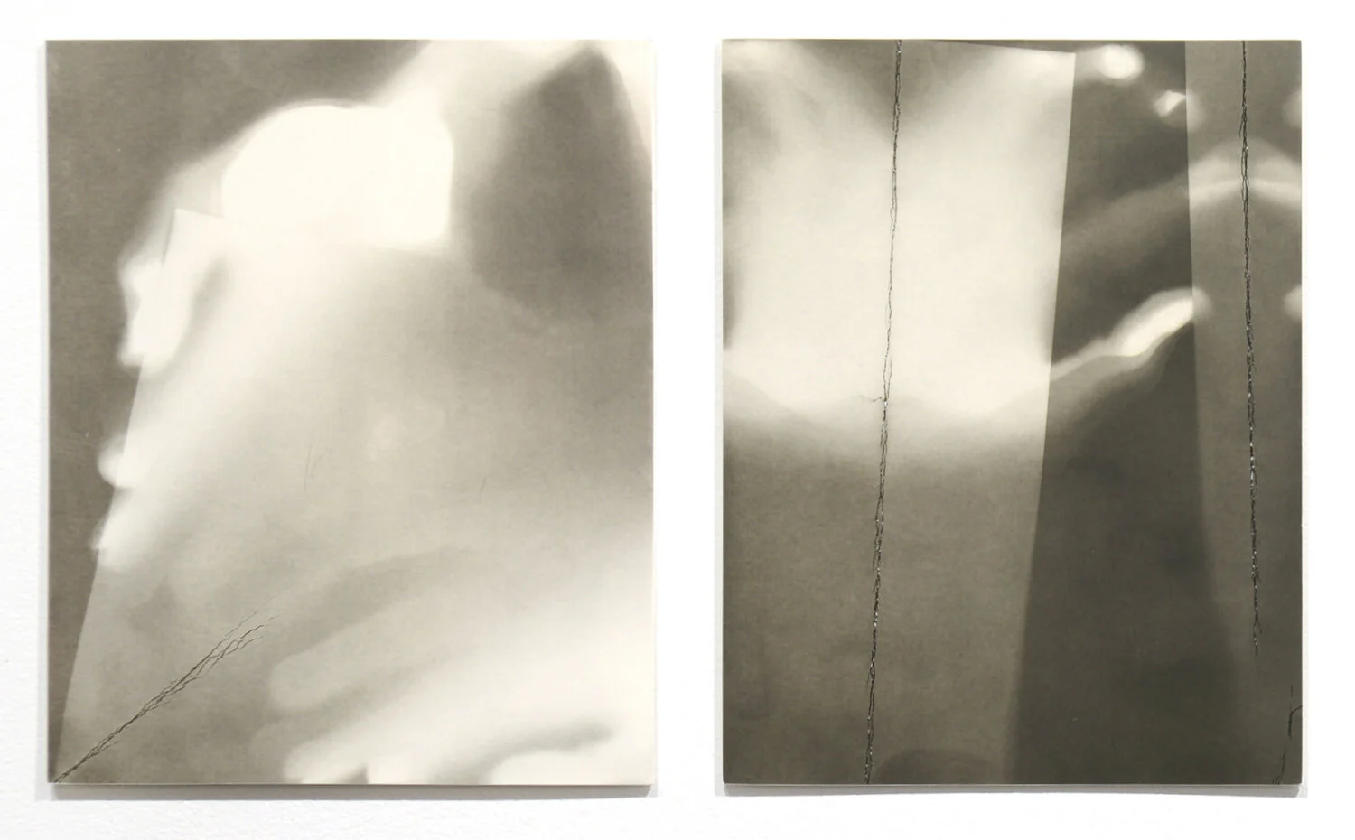 Untitled (diptych), 2020