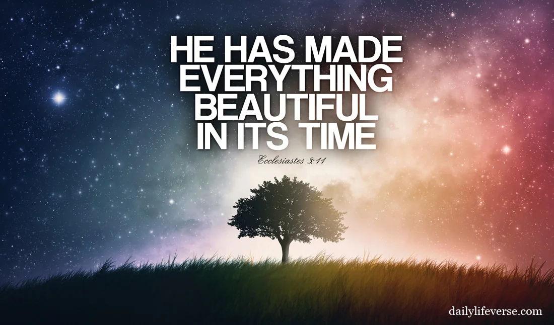 ecclesiastes-3-11.jpg