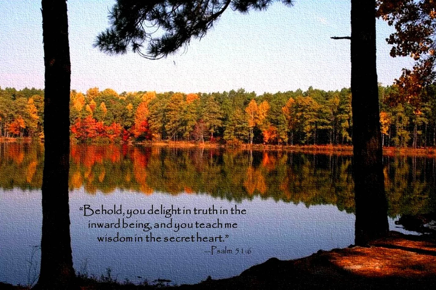 psalm-51-6.jpg
