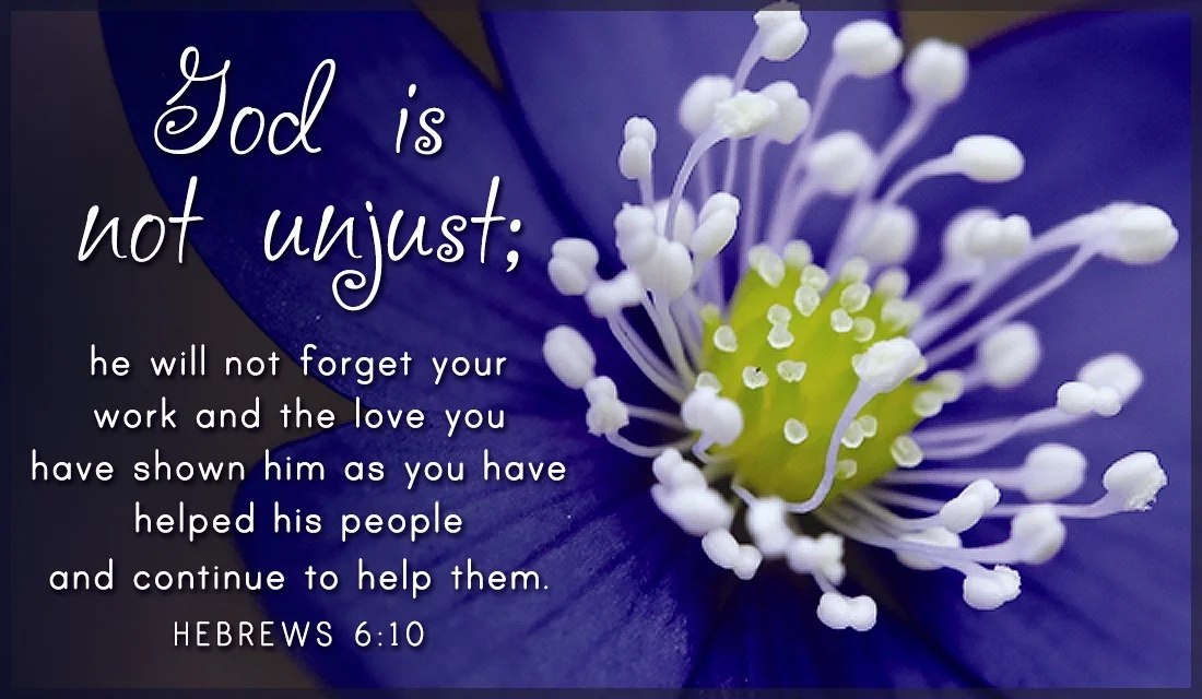 31586-cc_hebrews6_10_1.1100w.tn.jpg