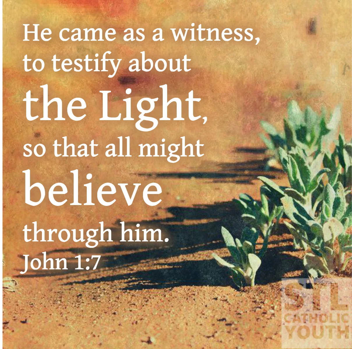 He-came-as-a-witness.jpg