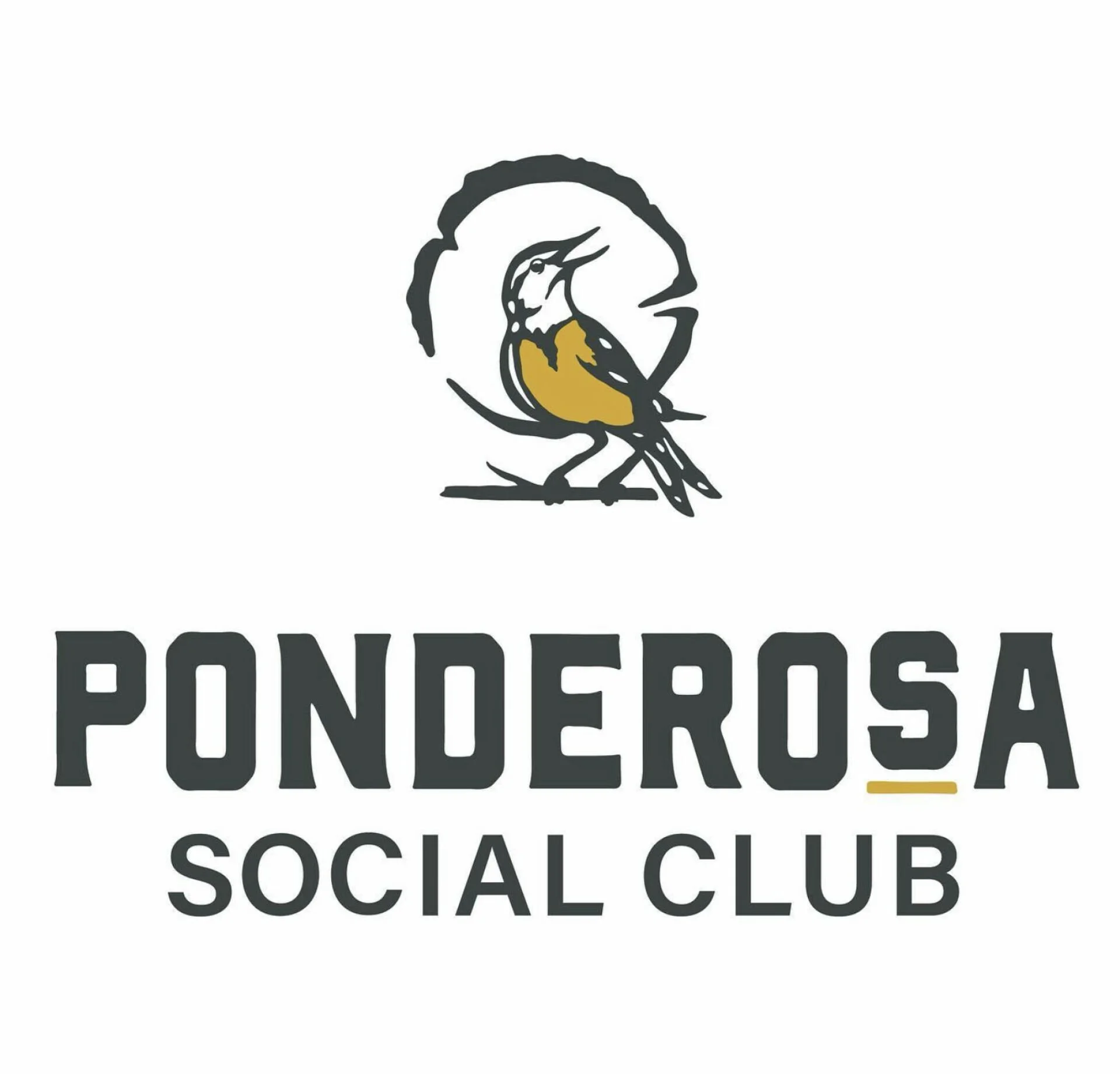Bozeman, MT @ Ponderosa Social Club