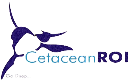 Cetacean ROI