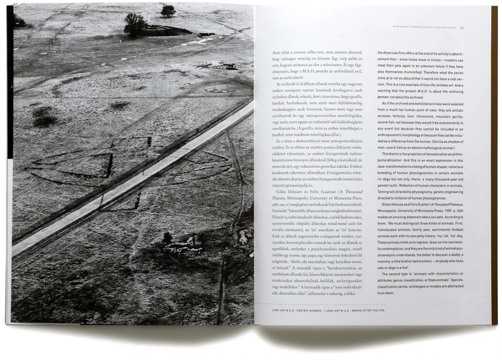  Graphic Design of the art catalog MUMMIFICATIONS by Vince Reichardt 