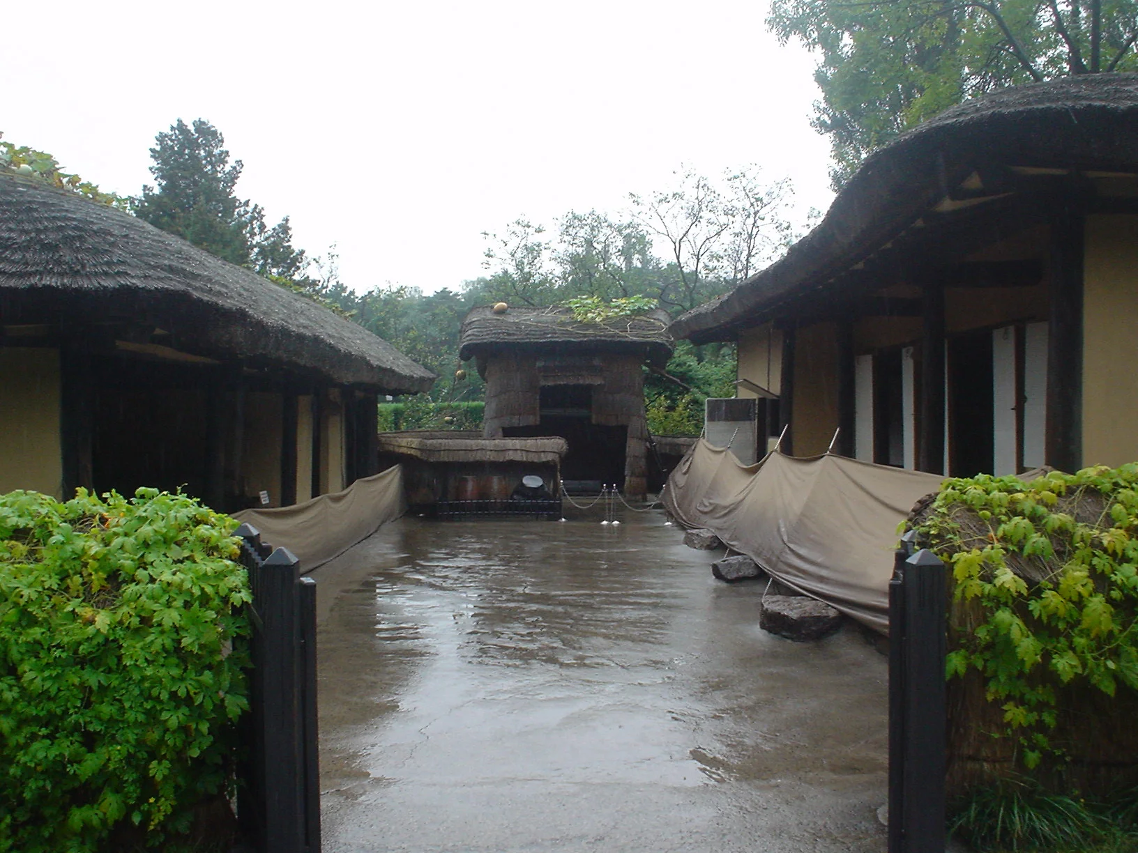 DSC05201.JPG