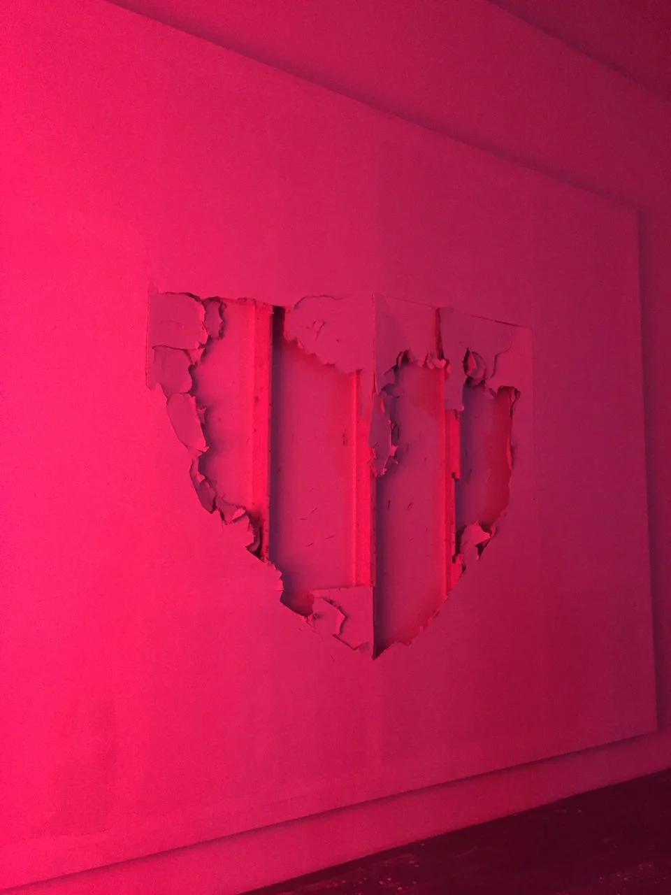 My True Heart 我的内心（2016）