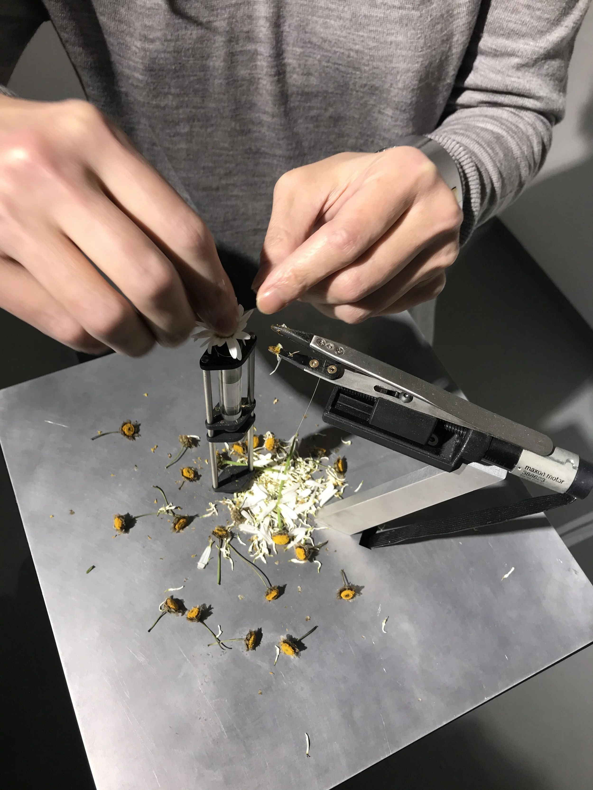 Super Position at DISKURS, Berlin, January 27th, 2020