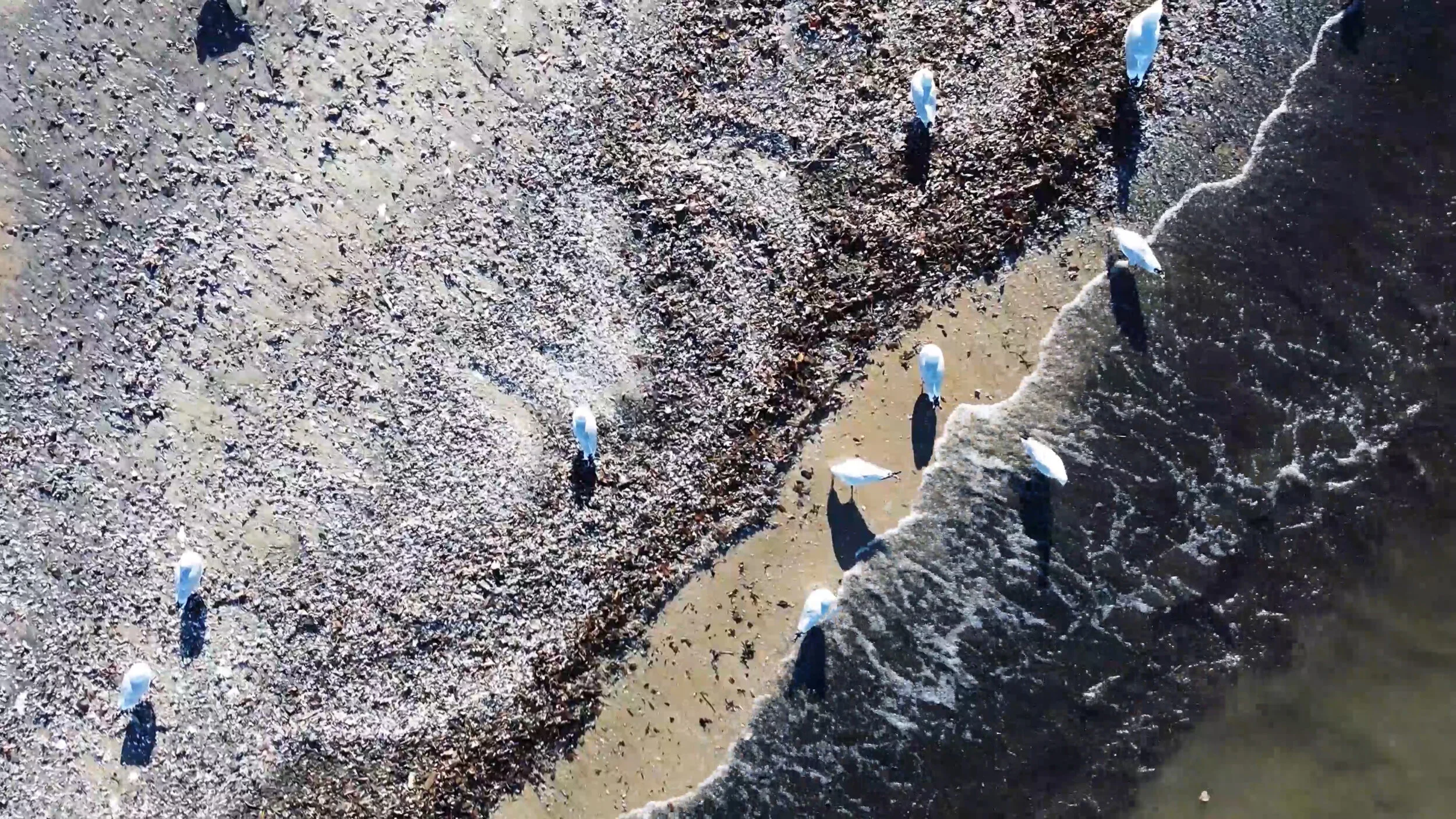 Comfortably Lost - Ihab Mardini